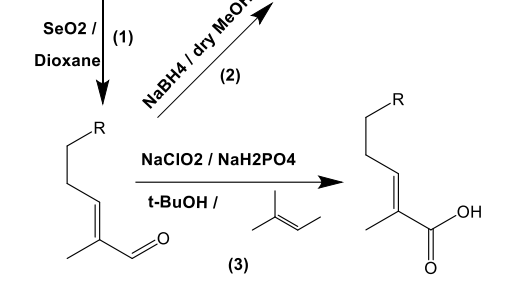 C-6不饱和无环单萜醇的结构-气味关系研究：一种比较的方法