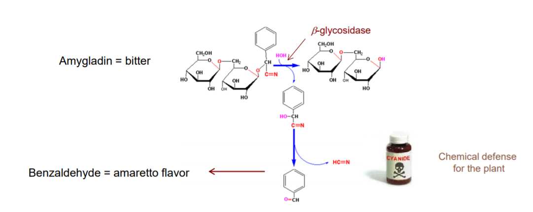 香精与香料(17)-香型与分子结构特征的关系