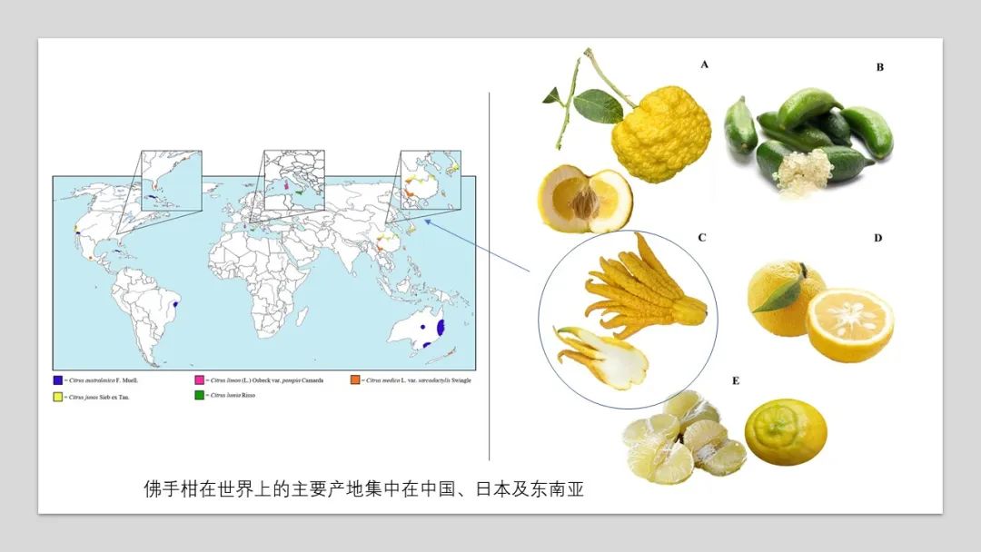 香精与香料(90)—佛手柑