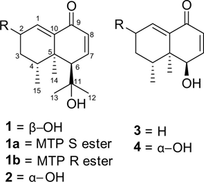 香精与香料(104)—甘松